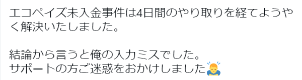 エコペイズ　サポート　評判